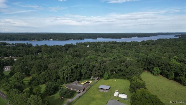 661 Blackberry Rd, Deatsville, AL 36022 - aerial view of property's location with a forest and a large body of water