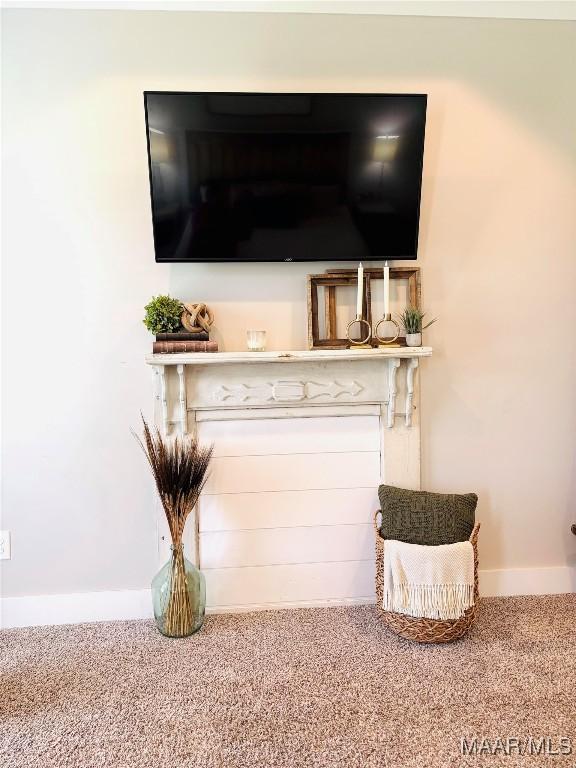 1670 Rifle Range Rd, Wetumpka, AL 36093 - detailed view of carpet flooring and baseboards