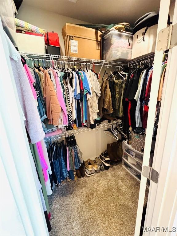 1670 Rifle Range Rd, Wetumpka, AL 36093 - walk in closet with carpet