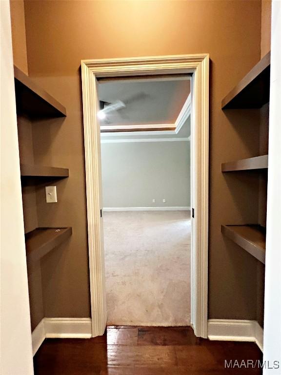 475 Mountain Meadows Ln, Wetumpka, AL 36093 - view of walk in closet