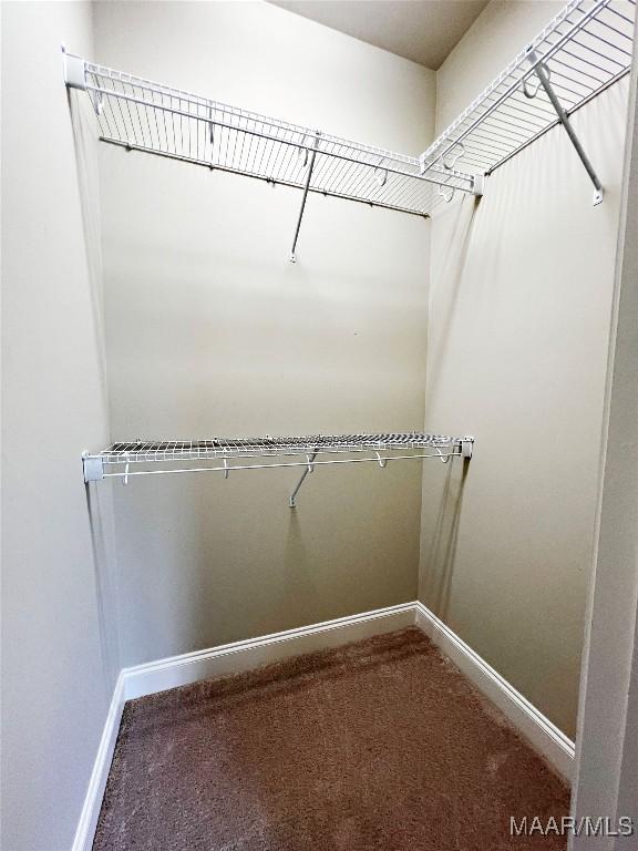 475 Mountain Meadows Ln, Wetumpka, AL 36093 - walk in closet featuring carpet floors