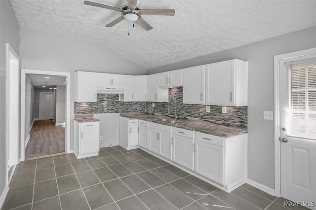 21 Judge Ests, Hope Hull, AL 36043 - kitchen with under cabinet range hood, a textured ceiling, a ceiling fan, tasteful backsplash, and dark tile patterned flooring