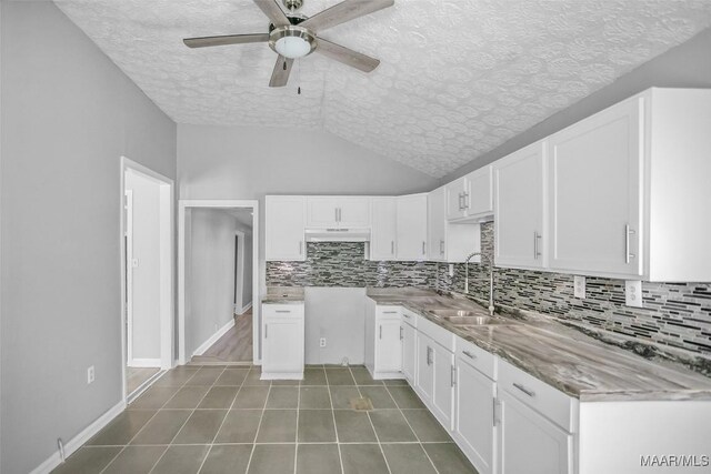 21 Judge Ests, Hope Hull, AL 36043 - kitchen featuring a sink, ceiling fan, a textured ceiling, tasteful backsplash, and under cabinet range hood