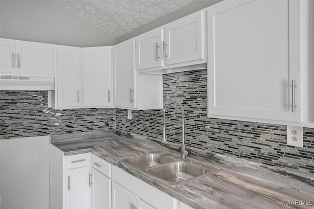 21 Judge Ests, Hope Hull, AL 36043 - kitchen with a sink, a textured ceiling, white cabinetry, lofted ceiling, and under cabinet range hood
