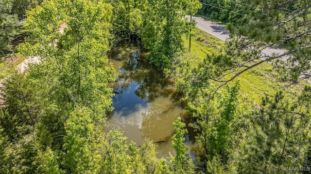 21 Judge Ests, Hope Hull, AL 36043 - bird's eye view of a nearby body of water