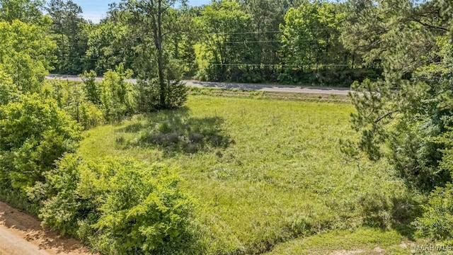 21 Judge Ests, Hope Hull, AL 36043 - view of grassy yard with a wooded view