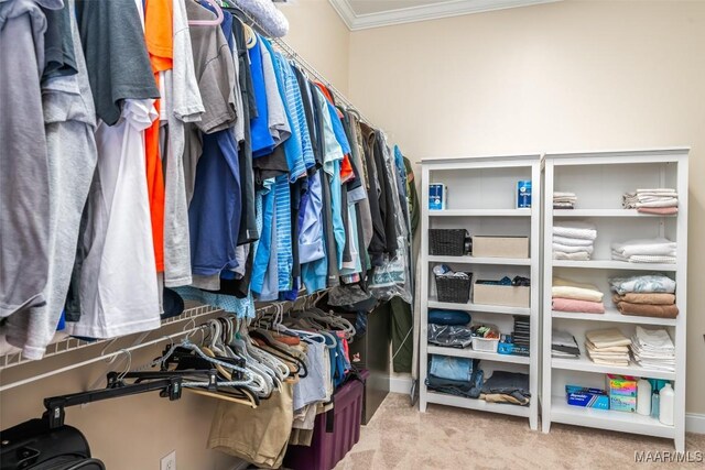3900 Turning Leaf Loop, Montgomery, AL 36116 - walk in closet with carpet