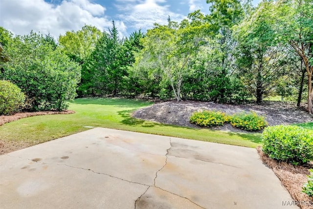 3900 Turning Leaf Loop, Montgomery, AL 36116 - view of green lawn featuring a patio