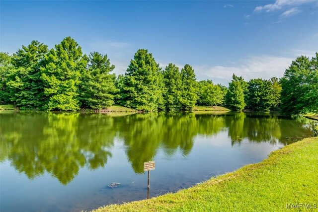 3900 Turning Leaf Loop, Montgomery, AL 36116 - water view with a forest