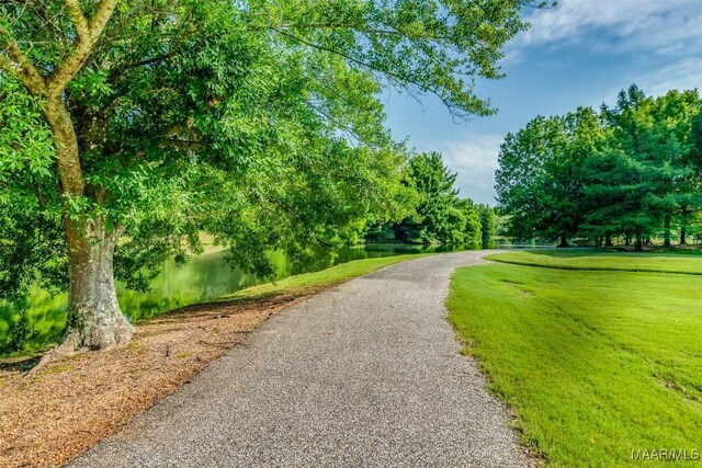 3900 Turning Leaf Loop, Montgomery, AL 36116 - view of surrounding community