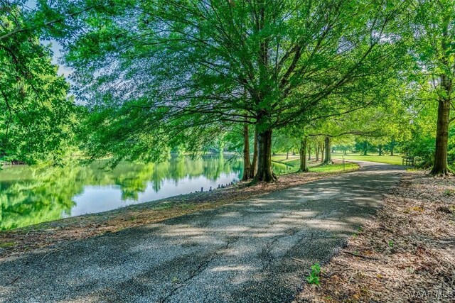 3900 Turning Leaf Loop, Montgomery, AL 36116 - exterior space