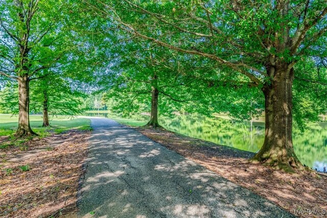 3900 Turning Leaf Loop, Montgomery, AL 36116 - view of street
