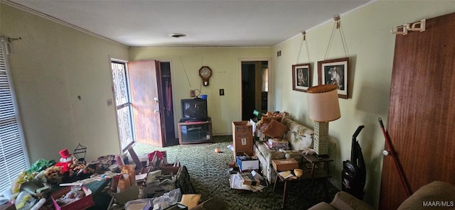 3341 Vermont Dr, Montgomery, AL 36109 - carpeted living room with ornamental molding