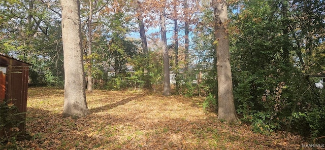 3341 Vermont Dr, Montgomery, AL 36109 - view of nature