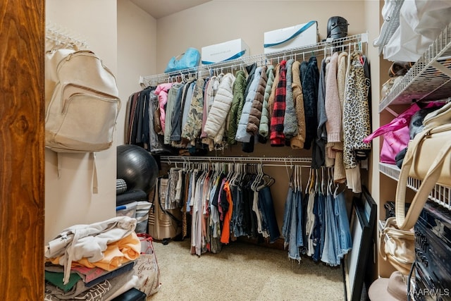 511 Mehearg Rd, Wetumpka, AL 36092 - spacious closet featuring carpet