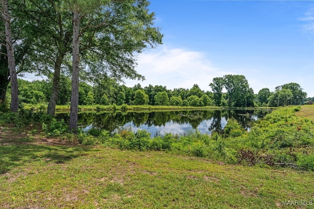 511 Mehearg Rd, Wetumpka, AL 36092 - water view