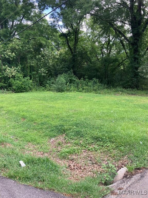 609 Milly Francis St, Wetumpka, AL 36092