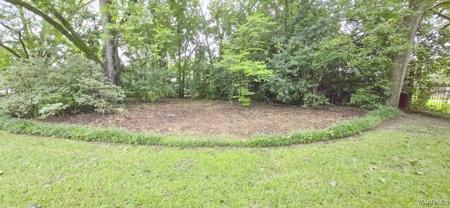 2728 Oxford Dr, Montgomery, AL 36111 - view of green lawn