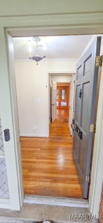2728 Oxford Dr, Montgomery, AL 36111 - corridor featuring light wood finished floors and ornamental molding