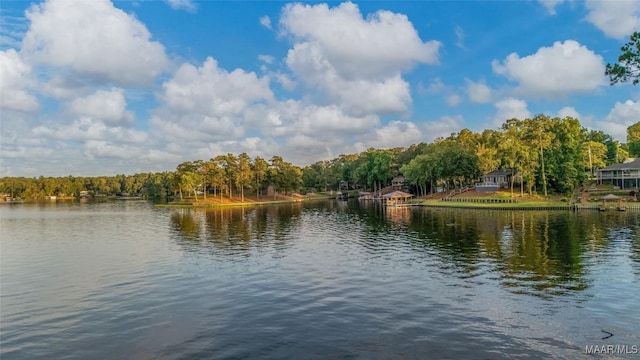 28 Lake Region Dr, Wetumpka, AL 36092 - water view