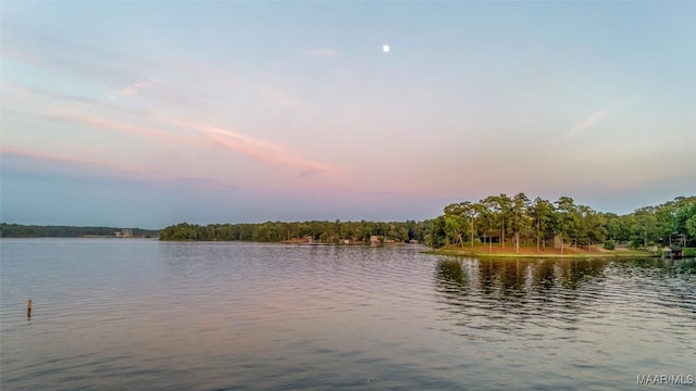 28 Lake Region Dr, Wetumpka, AL 36092 - water view