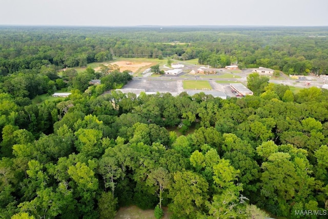 3480 Goree Dr, Millbrook, AL 36054 - photo 4