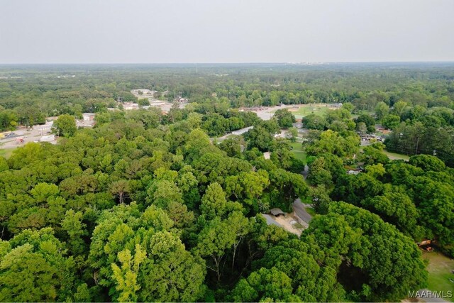 3480 Goree Dr, Millbrook, AL 36054 - photo 5