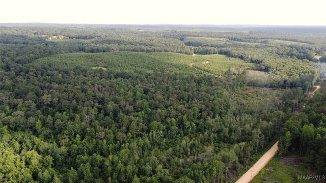 0 County Road 61, Prattville, AL 36067 - photo 4