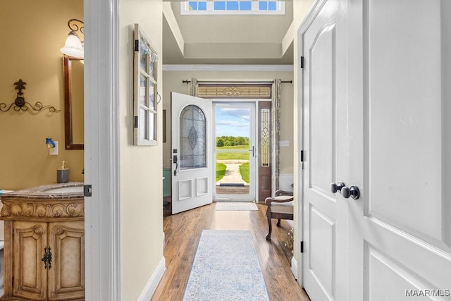 18490 US Highway 31st Rd, Clanton, AL 35045 - foyer with light wood-style flooring, a tray ceiling, and ornamental molding