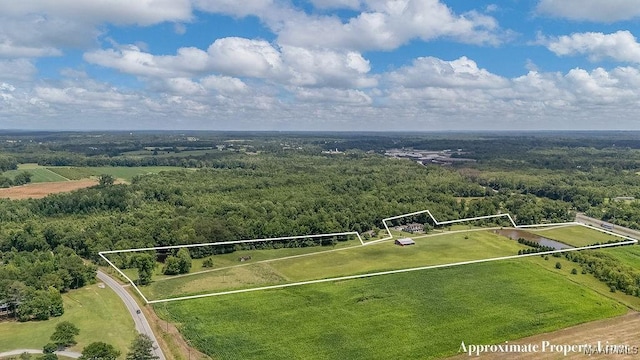 18490 US Highway 31st Rd, Clanton, AL 35045 - aerial view of property's location with property boundaries highlighted