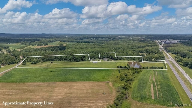 18490 US Highway 31st Rd, Clanton, AL 35045 - aerial view of property and surrounding area featuring property parcel outlined and a forest