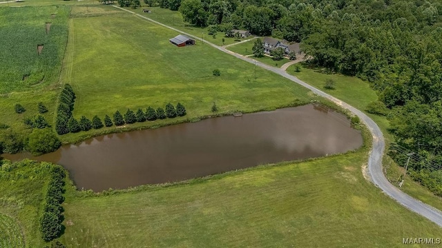 18490 US Highway 31st Rd, Clanton, AL 35045 - overview of rural landscape featuring a nearby body of water