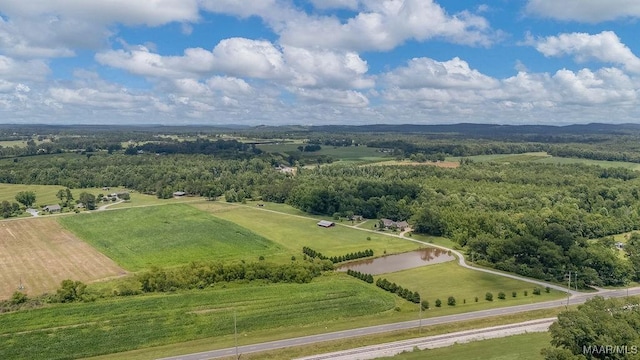 18490 US Highway 31st Rd, Clanton, AL 35045 - view of rural area