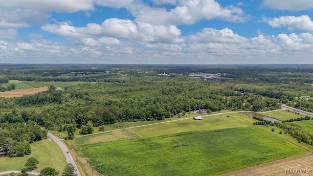18490 US Highway 31st Rd, Clanton, AL 35045 - aerial view of a forest