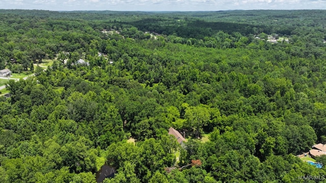 76 Willow Springs Rd, Wetumpka, AL 36093 - aerial view of a forest