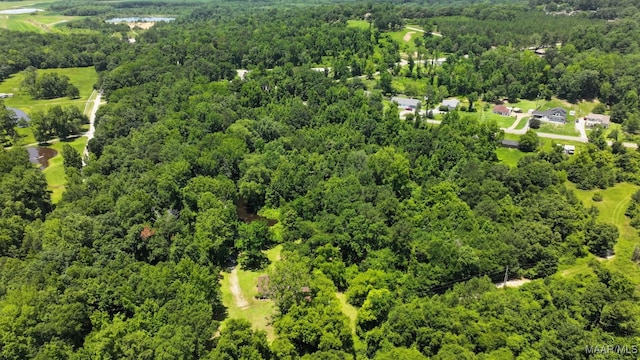76 Willow Springs Rd, Wetumpka, AL 36093 - aerial view of a forest
