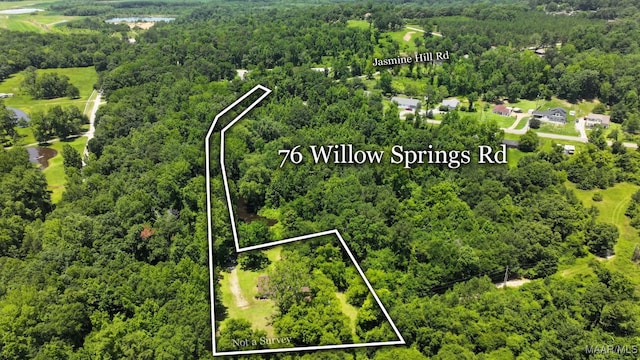 76 Willow Springs Rd, Wetumpka, AL 36093 - aerial view of property and surrounding area with a forest and property parcel outlined