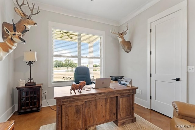 493 Lake Ridge Rd, Hope Hull, AL 36043 - home office featuring ornamental molding and baseboards