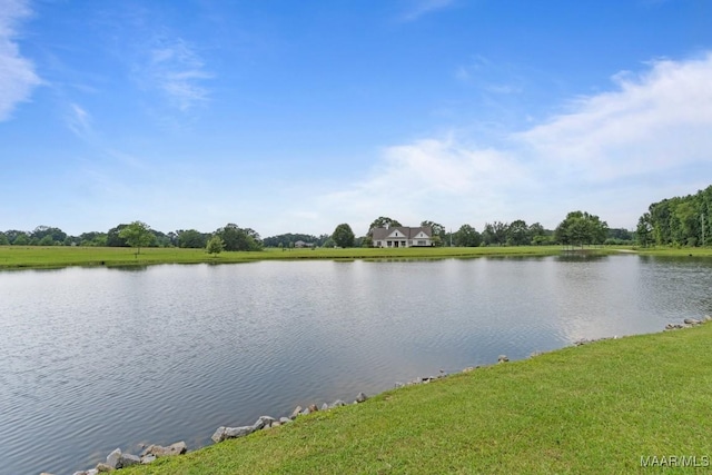 493 Lake Ridge Rd, Hope Hull, AL 36043 - water view