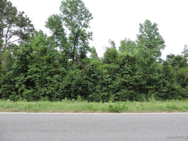 0 S Mt Zion Rd, Greenville, AL 36037