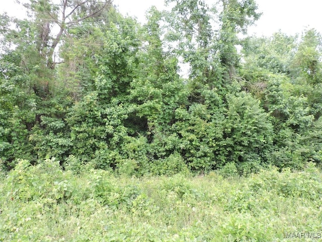 0 S Mt Zion Rd, Greenville, AL 36037