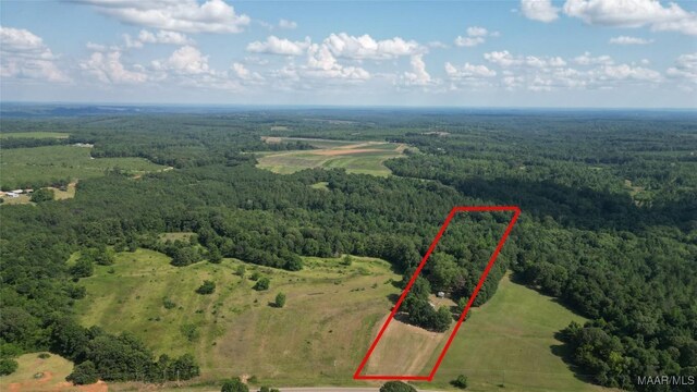 2361 County Road 40th Rd W, Billingsley, AL 36006 - photo 1