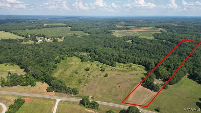2361 County Road 40th Rd W, Billingsley, AL 36006 - photo 3