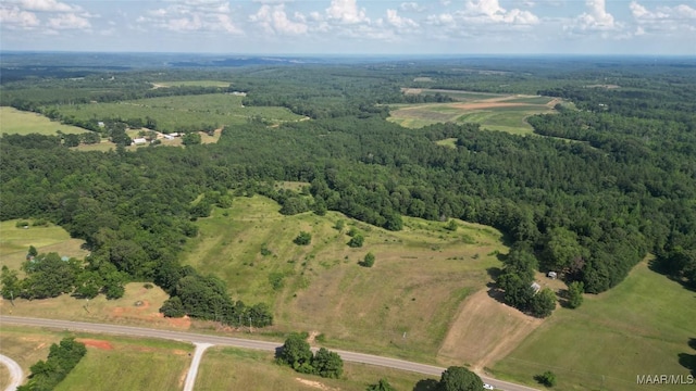 2361 County Road 40th Rd W, Billingsley, AL 36006 - photo 4