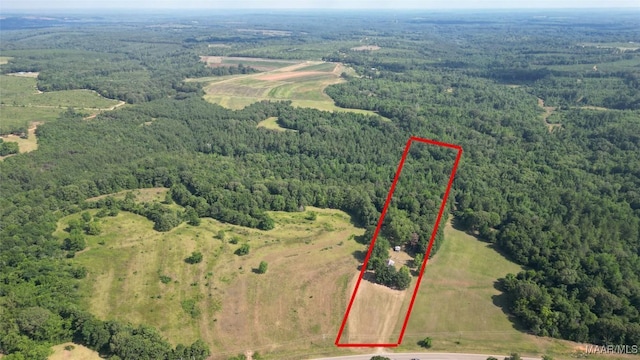 2361 County Road 40th Rd W, Billingsley, AL 36006 - photo 5