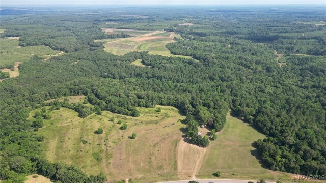 2361 County Road 40th Rd W, Billingsley, AL 36006 - photo 6