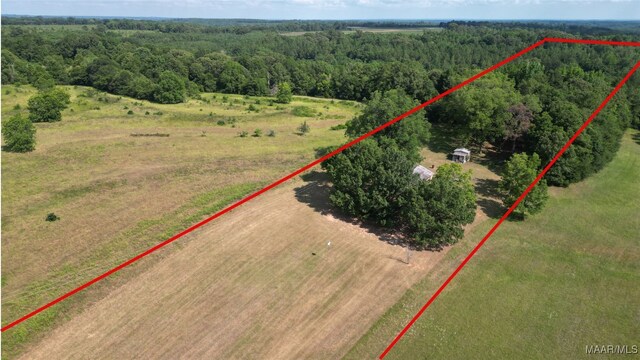 2361 County Road 40th Rd W, Billingsley, AL 36006 - photo 8