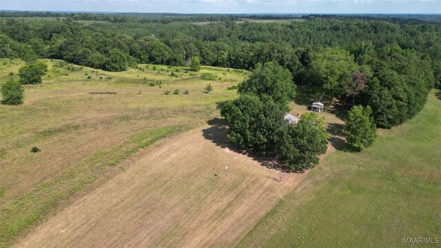 2361 County Road 40th Rd W, Billingsley, AL 36006 - photo 9