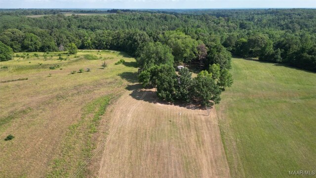 2361 County Road 40th Rd W, Billingsley, AL 36006 - photo 10