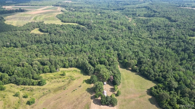 2361 County Road 40th Rd W, Billingsley, AL 36006 - photo 33